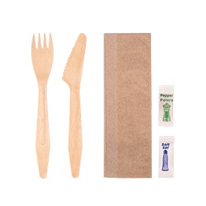 Fork + Knife + 2Ply Bio Napkin(24×32) + Salt + Pepper