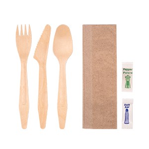 Fork + Knife + Spoon + 2Ply Bio Napkin(24×32) + Salt + Pepper