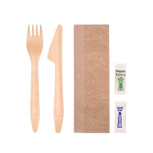 Fork + Knife + 2Ply Bio Napkin(24×32) + Salt + Pepper